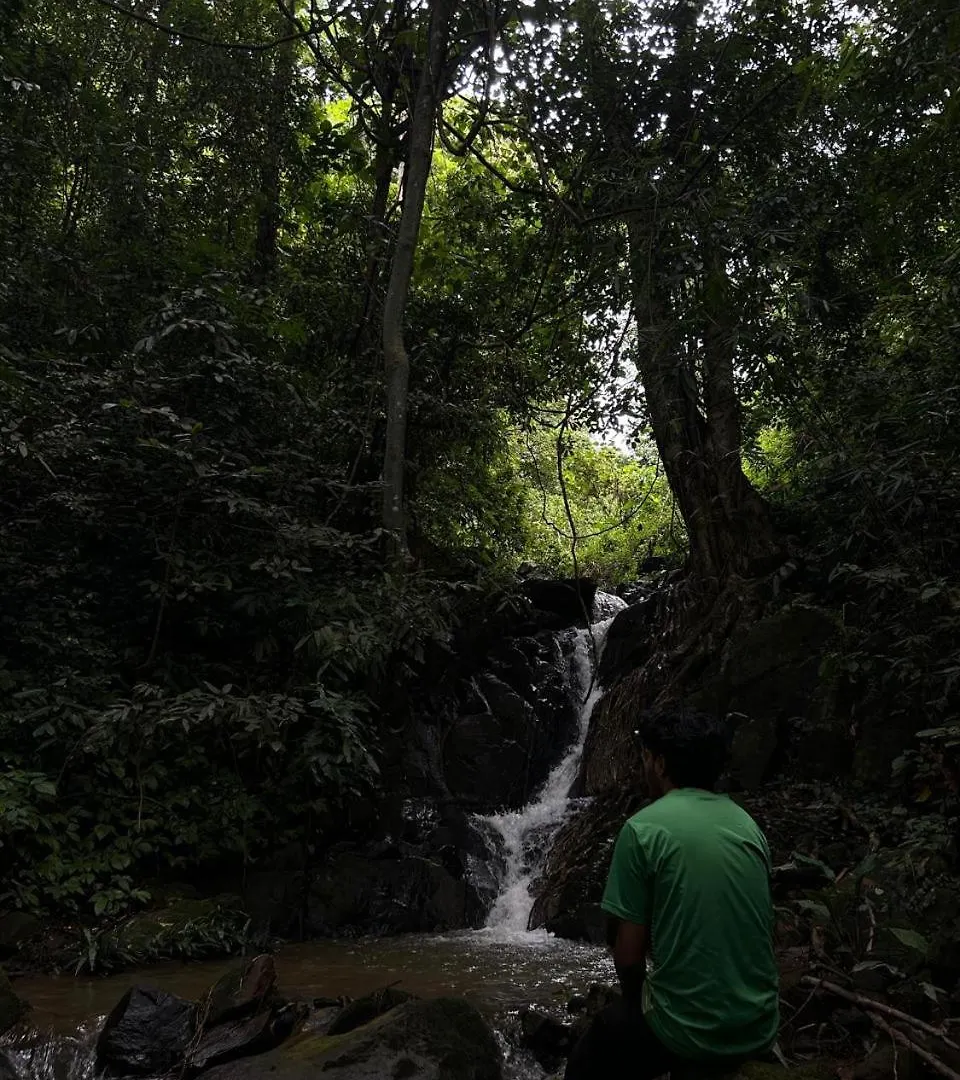 Cardamom Garden Homestay Meppadi Wayanad 0*,  Indie